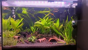 Fotka k příspěvku