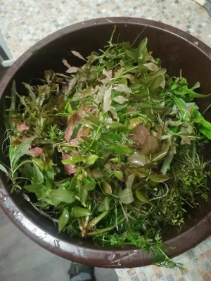 Fotka k příspěvku