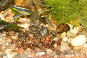 Fotka k příspěvku