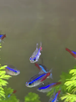 Fotka k příspěvku