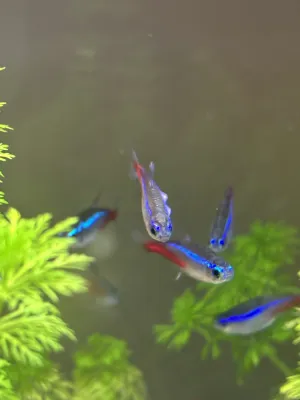 Fotka k příspěvku