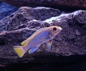 Fotka k příspěvku