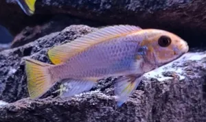 Fotka k příspěvku