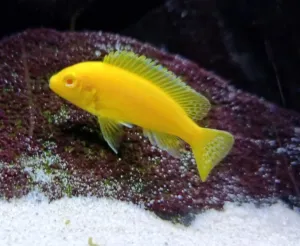 Fotka k příspěvku