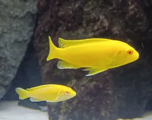 Fotka k příspěvku