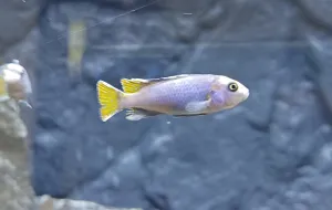 Fotka k příspěvku