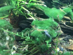 Fotka k příspěvku