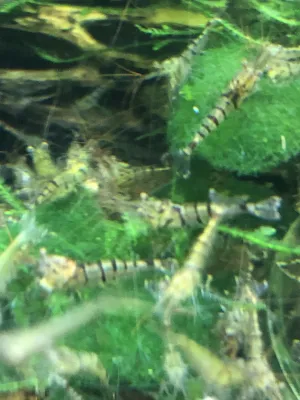 Fotka k příspěvku