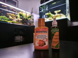 Fotka k příspěvku