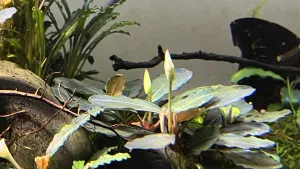 Fotka k příspěvku