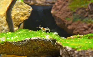 Fotka k příspěvku