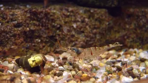 Fotka k příspěvku