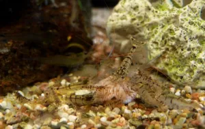 Fotka k příspěvku