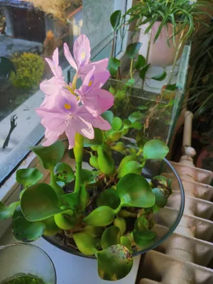 Fotka k příspěvku