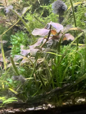 Fotka k příspěvku