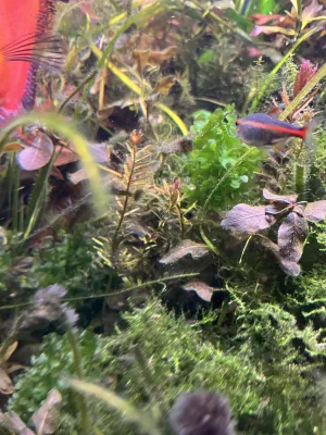 Fotka k příspěvku