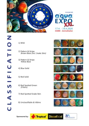 Fotka k příspěvku