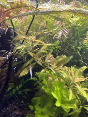 Fotka k příspěvku