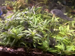 Fotka k příspěvku