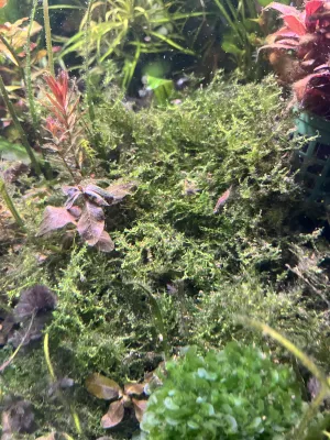 Fotka k příspěvku