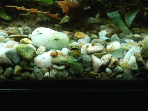 Fotka k příspěvku