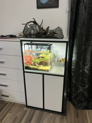 Fotka k příspěvku