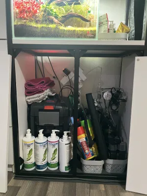 Fotka k příspěvku