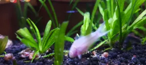 Fotka k příspěvku