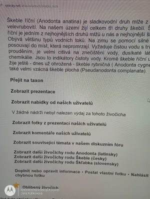 Fotka k příspěvku