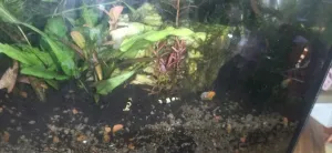 Fotka k příspěvku