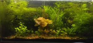 Fotka k příspěvku