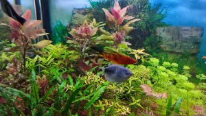 Fotka k příspěvku