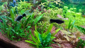 Fotka k příspěvku