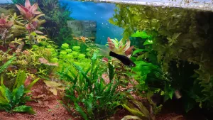 Fotka k příspěvku