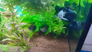 Fotka k příspěvku