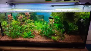 Fotka k příspěvku