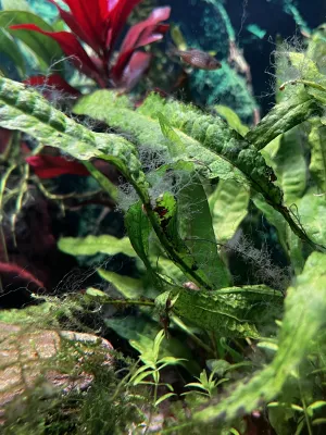 Fotka k příspěvku