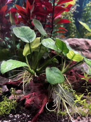 Fotka k příspěvku