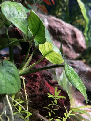 Fotka k příspěvku