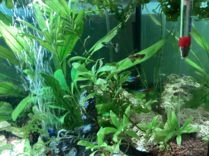 Fotka k příspěvku