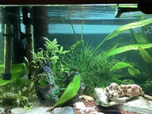 Fotka k příspěvku