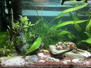 Fotka k příspěvku