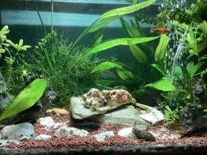 Fotka k příspěvku