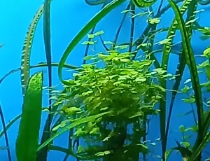 Fotka k příspěvku