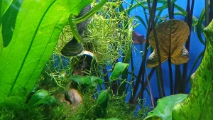 Fotka k příspěvku