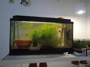 Fotka k příspěvku