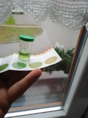 Fotka k příspěvku