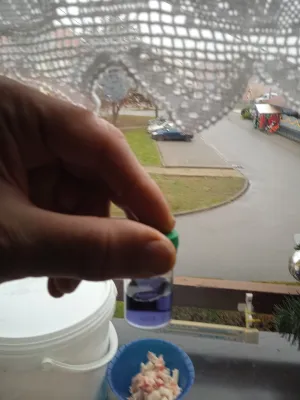 Fotka k příspěvku