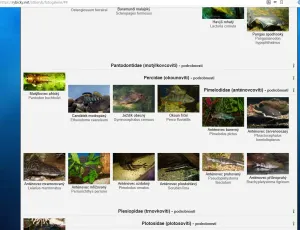 Fotka k příspěvku