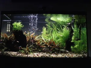 Fotka k příspěvku